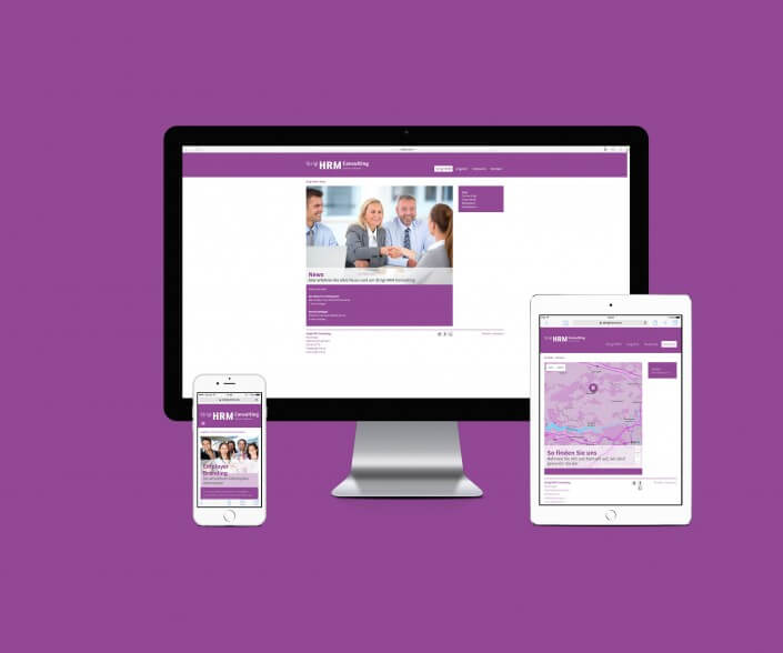 Strigl HRM Consulting Webseite